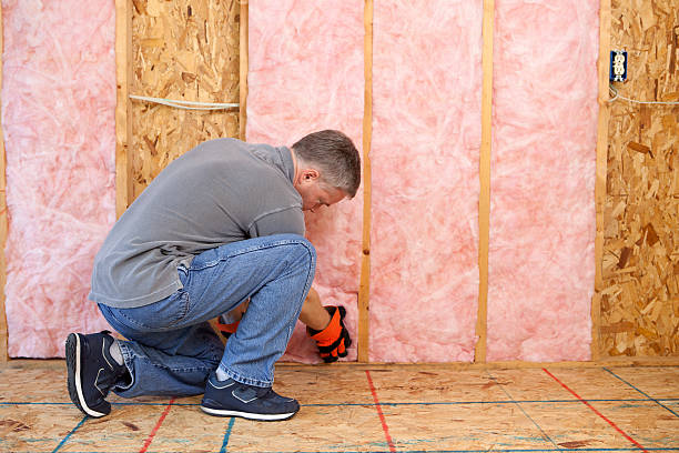 Best Radiant Barrier Insulation  in Amboy, IL